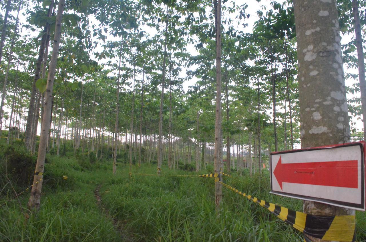 Ibis Budget Cikarang Festival Μπεκάσι Εξωτερικό φωτογραφία